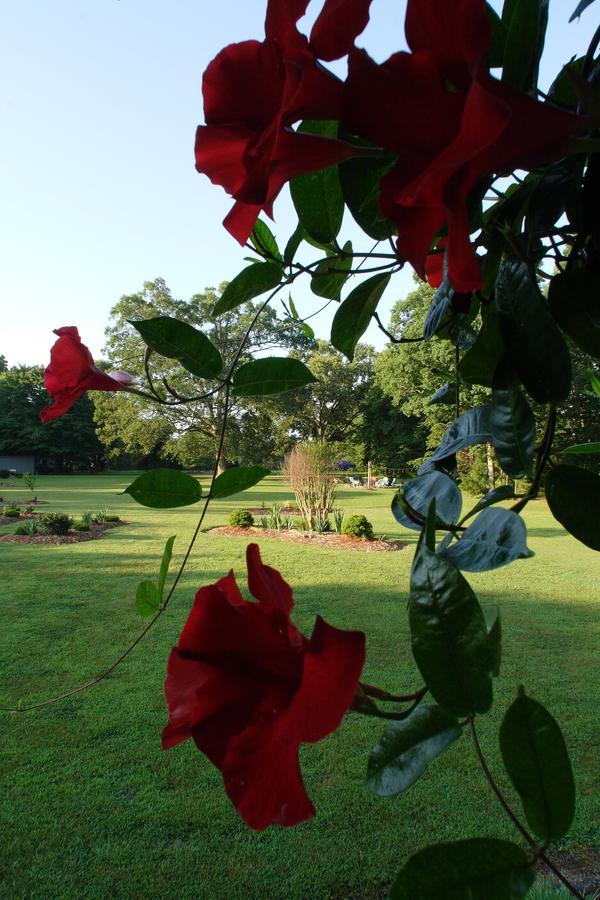 Seven Oaks Inn Bed And Breakfast High Point Exterior photo